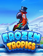 เสพความบันเทิงใน casino online ต่าง ประเทศ ผ่านการทดลองเล่น